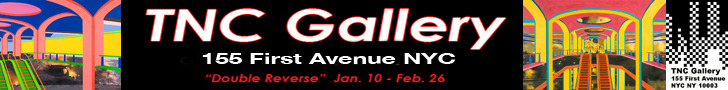 20120119200041-tncrevised_banner2