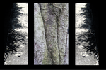 20130604135705-louise_placeholder