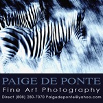 20130604165856-paige_ad_for_art_basel