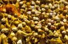 Devotees_rushing_the_khandoba__palkhi__in_a_frenzied_state_o