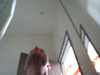 Marcus_civin_j_jonas_2