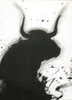 Bull