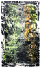 20100912121335-tomme_paper_2010
