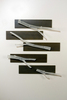 Tray_branches_md