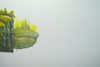 20110117212941-takehome_landscape