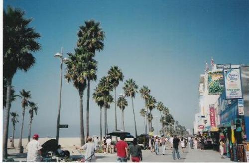 P136278-los_angeles-venice_beach