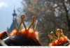 20110425073355-queen
