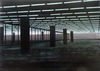20110425181719-pe_electric_light_50x70cm_opp_2011