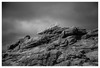 20110626221603-tundra1