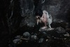 20110823001533-the_arrival_of_fenrir