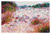Es_langweilige_widerspiegelung_2008_oil_on_canvas_23_5-8_x_3
