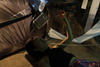 20121102062821-skewedlies_4