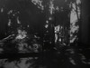 20121226234017-shadow_fstill_05