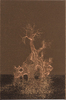 Af09_04_2__1