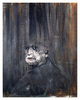 Head_iii__1949