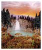 Lori_nix_paradise_2004_chromogenic_print_50x40in