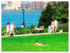 Hudson_view