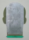 Head