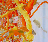 20121029172617-carlson_sabine_2010