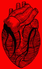 Heart2006