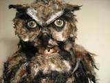 20110618095324-owl4