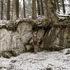 20120423113522-gerda