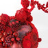 20110110132748-reddetail