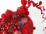20110110132748-reddetail