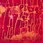 P1010008