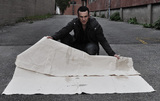 20110118211310-_lgamache2