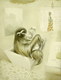 Sloth_1