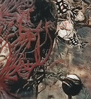20120827154607-detail_ap_1over8_iii
