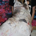Website_photos_010