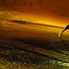 20100912211510-shea_naer_image_0403