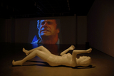 Figure_and_video_5_med_res