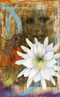 20130210085018-i_dreamed_you_by_random_act_aka_andrea_lahue