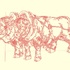 Bull