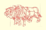 Bull