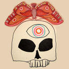 20101007155915-moth_skull