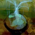 20101016023453-icon