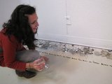 20110529141638-kimberly_barry1