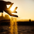 20110331060136-golddust_quadrat