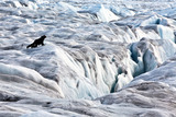 20110403073446-monacoglacier_2010