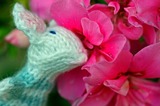 20110910214908-mousy_lady_smelling_pink_flowers