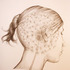 20120221124214-feeling_fragile__l_