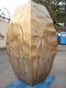 E-bead1