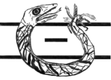 20130216045323-nouroboros