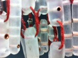 20120424032828-img_1747