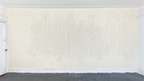 20121202155509-naber_nicholas_wall_d_1