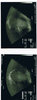 20120502163616-63316_1394908997549_1376931353_30940482_1558974_n